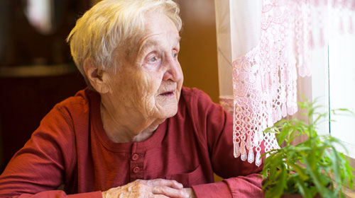 Aged Care Bundle 3 - Holistic Care