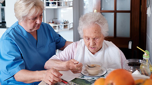 Comprehensive Assessment of the Older Person