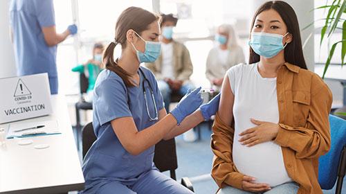 Immunisation Bundle 2: Primary Health 2026 Update